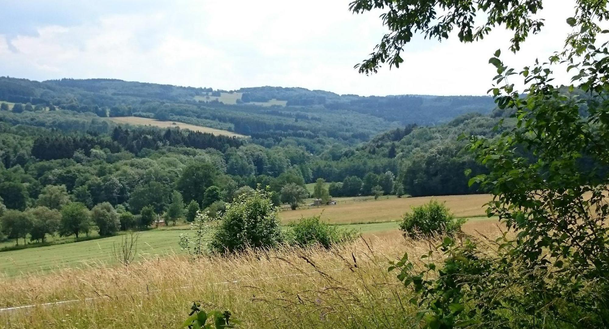 Ferienhaus Zur Schoenen Aussicht Hardt  Kültér fotó